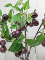 Plums