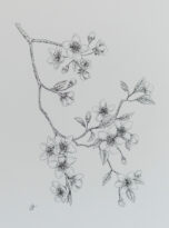 Blossom