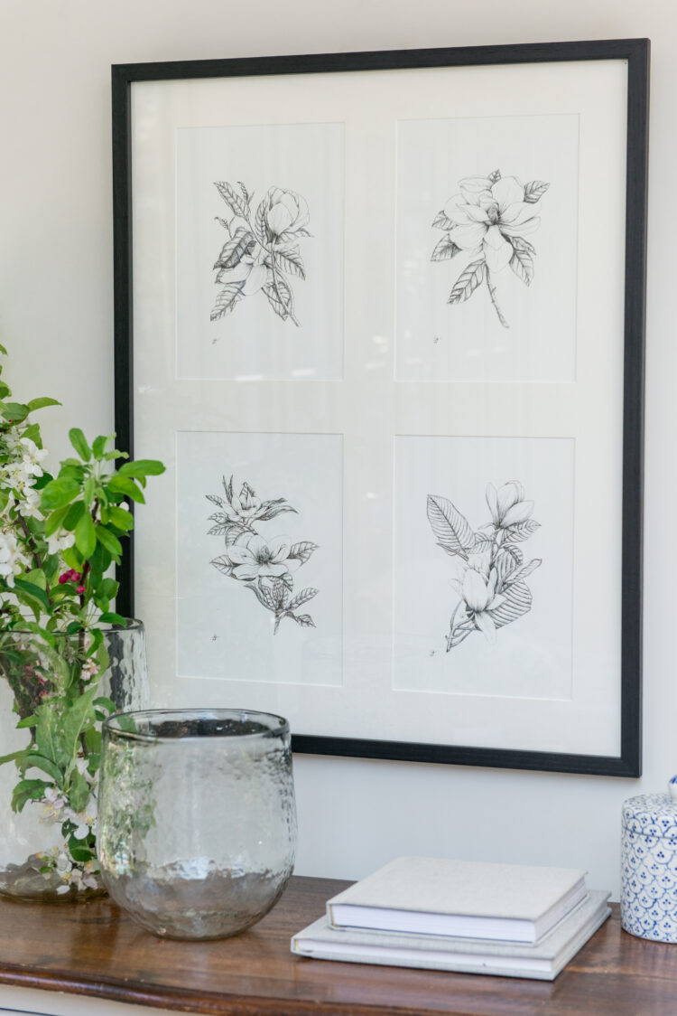 Original Framed Magnolia Illustrations